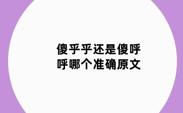 傻乎乎还是傻呼呼哪个准确原文