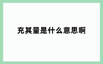 充其量是什么意思啊