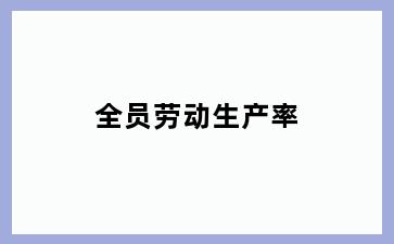 全员劳动生产率