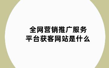 全网营销推广服务平台获客网站是什么