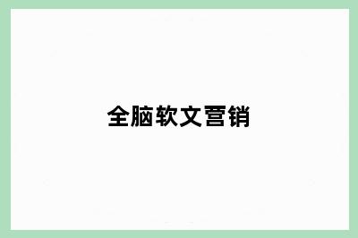 全脑软文营销