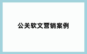 公关软文营销案例