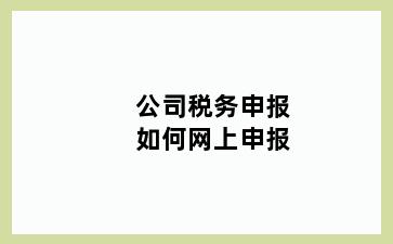 公司税务申报如何网上申报