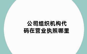 公司组织机构代码在营业执照哪里