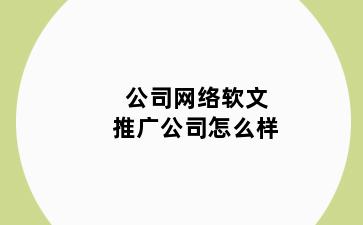 公司网络软文推广公司怎么样