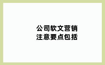 公司软文营销注意要点包括