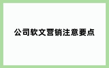 公司软文营销注意要点