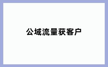 公域流量获客户