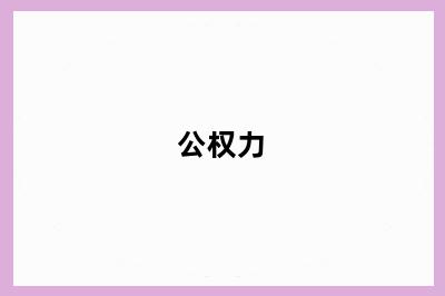 公权力