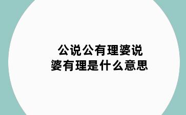 公说公有理婆说婆有理是什么意思