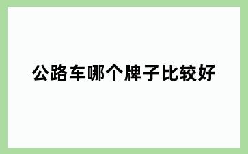 公路车哪个牌子比较好