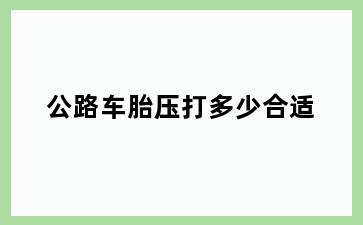公路车胎压打多少合适