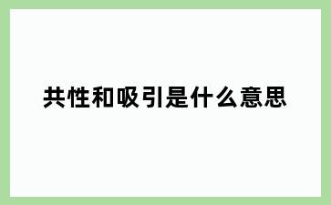 共性和吸引是什么意思