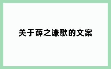 关于薛之谦歌的文案