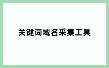 关键词域名采集工具
