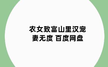 农女致富山里汉宠妻无度 百度网盘