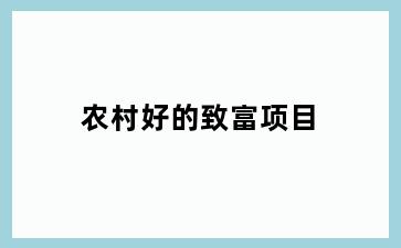 农村好的致富项目