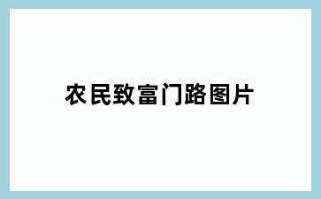 农民致富门路图片