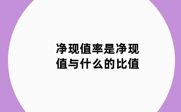 净现值率是净现值与什么的比值