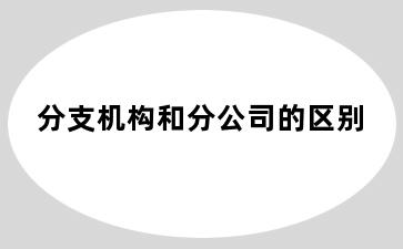 分支机构和分公司的区别