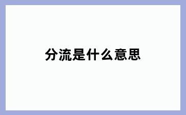 分流是什么意思