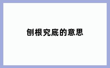 刨根究底的意思