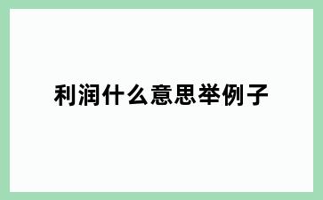 利润什么意思举例子