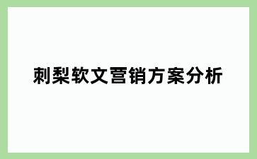 刺梨软文营销方案分析