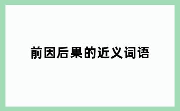 前因后果的近义词语