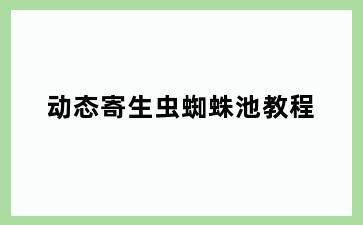 动态寄生虫蜘蛛池教程