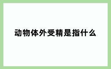动物体外受精是指什么