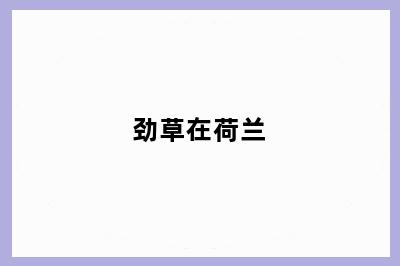 劲草在荷兰