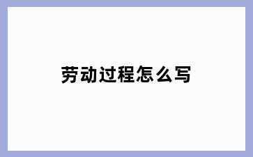 劳动过程怎么写