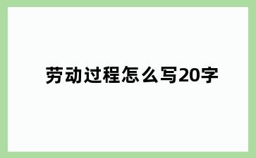 劳动过程怎么写20字