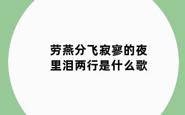 劳燕分飞寂寥的夜里泪两行是什么歌