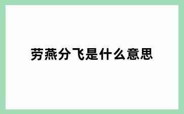 劳燕分飞是什么意思