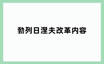 勃列日涅夫改革内容