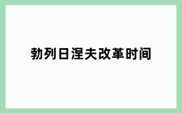 勃列日涅夫改革时间