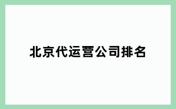 荔湾区代运营公司排名