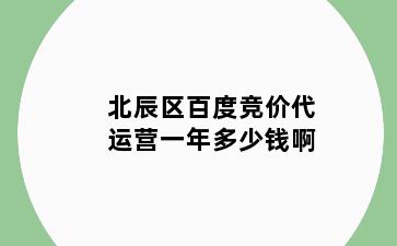 北辰区百度竞价代运营一年多少钱啊