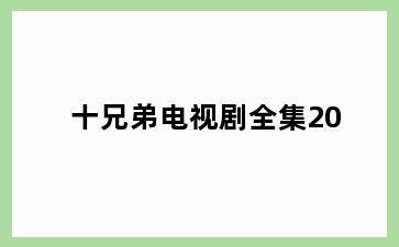 十兄弟电视剧全集20
