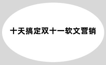 十天搞定双十一软文营销