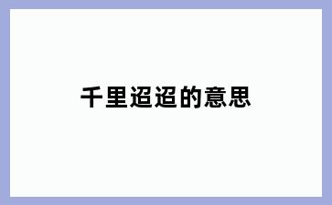 千里迢迢的意思