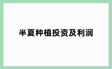 半夏种植投资及利润