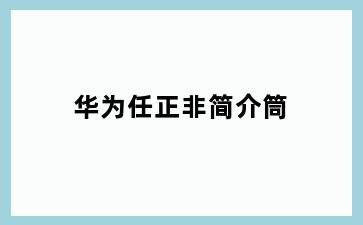 华为任正非简介筒