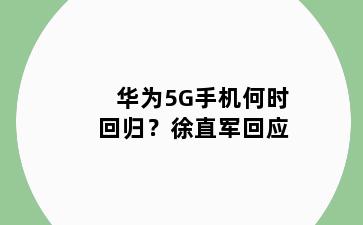 华为5G手机何时回归？徐直军回应