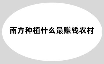 南方种植什么最赚钱农村