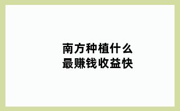 南方种植什么最赚钱收益快
