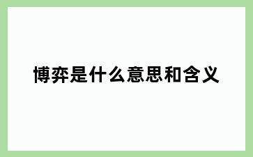 博弈是什么意思和含义