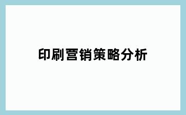 印刷营销策略分析